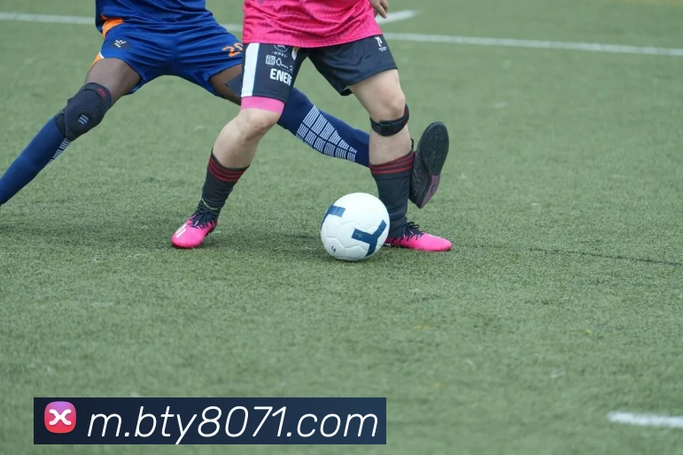 B体育平台生态图